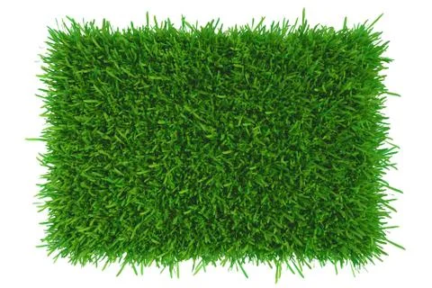 Grass background texture. fresh grass. 3d rendering. Illustrazione stock