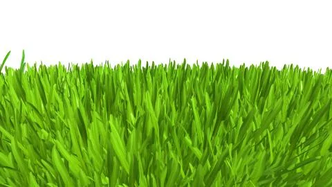 Grass background texture. fresh grass. 3d rendering. Illustrazione stock
