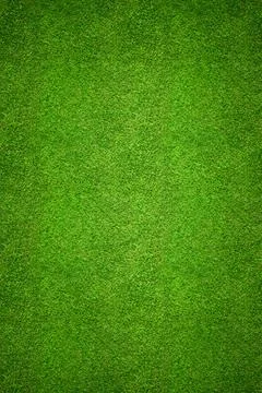 Grass background top view - freshly cut, healthy, green grass field Illustration