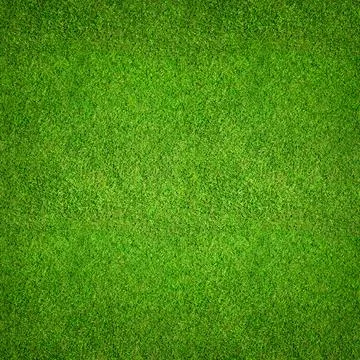 Grass background top view - green grass field as a backdrop texture. Stock-Fotos