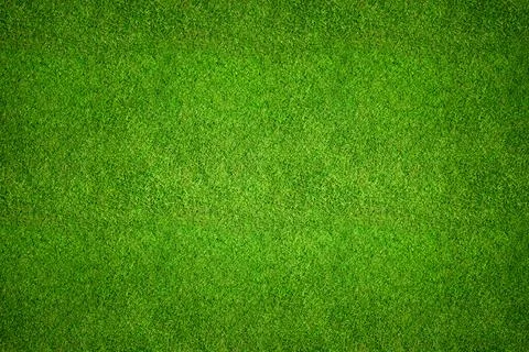 Grass background top view texture Fotos de archivo