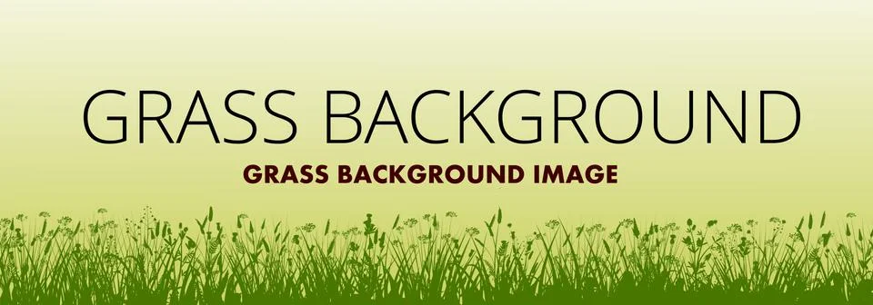Grass background vector. Silhouette of meadow flowering herbes. On a yellow s Stock Illustration
