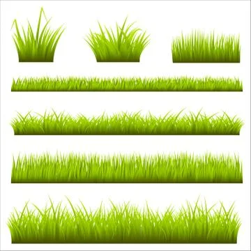 Grass Backgrounds Stock Illustration