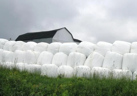 Grass bale Stock-Fotos