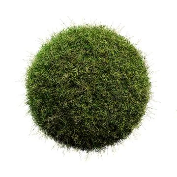 Grass ball isolated on white background Stock Illustration
