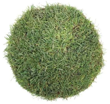 Grass ball Stock Photos