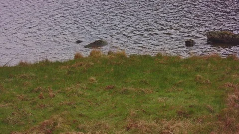 Grass Bank By River Видео 75561393