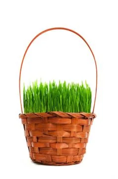 The grass in basket Stock Photos