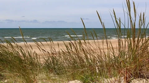 Grass, beach and sea 库存影片 40672302