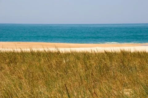 Grass, beach, ocean Stock Photos