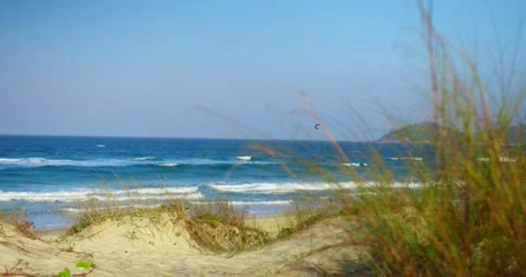 Grass on the Beach in a Sunny Day Stock Footage 247336630