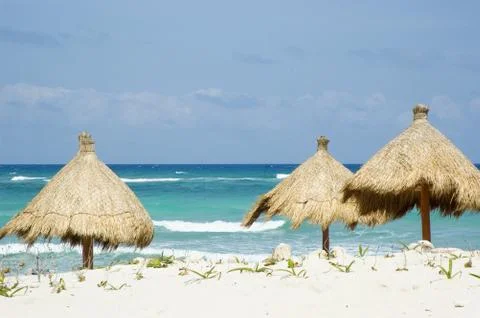 Grass Beach Umbrellas Stock Photos