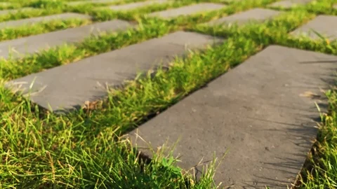 Grass Between The Stones. Garden Path With Grass. Grass Between Stones.  Stock Footage 115100514