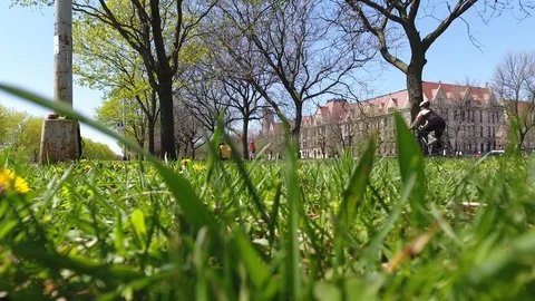 Grass bike Video stock 108508899