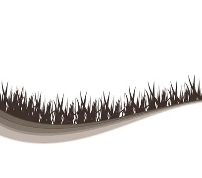 Grass black background Stock Illustration