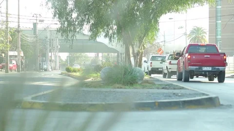 Grass blade Stock Footage 77048580