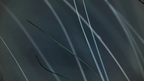 Grass blades effect abstract Video stock 102782931
