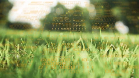 Grass blades swaying while amber HUD overlay emerging after sunlight glint, Stock Footage 333575546