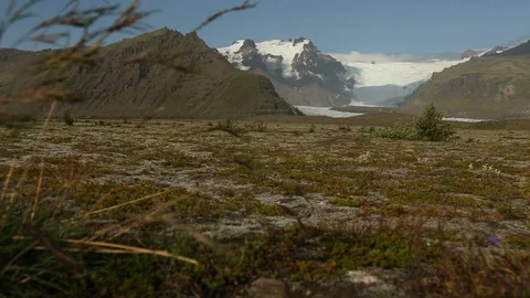 Grass Blowing In Foreground With Mountain And Glacier Across Plain In Background 스톡 동영상 125205161
