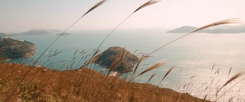 Grass Blowing from the top of the Islands in Ap Lei Chau, Hong Kong - 6K Stock Footage 122038058