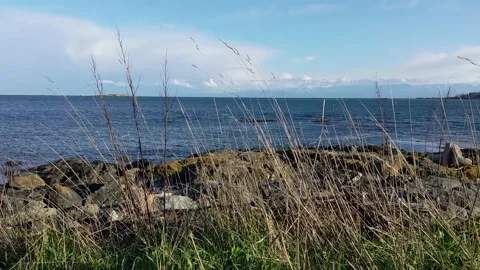 Grass blowing in wind at Cattle Point Stock Footage 190807739