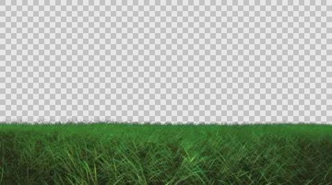 Grass Blowing in the Wind 動画素材 61861556