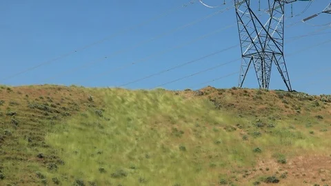 Grass blowing in the wind Stock Footage 76587765