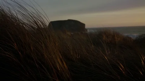 Grass Blowing in the Wind 스톡 동영상 85451262
