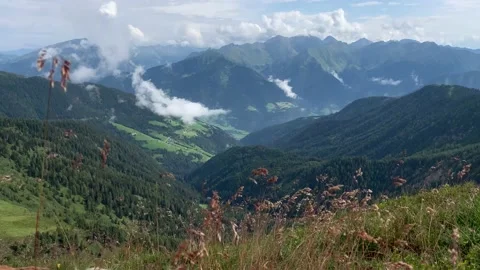 Grass Blowing In The Wind With Mountains In Background 스톡 동영상 149128952