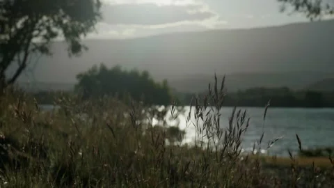 Grass blowing in the wind as sun goes down beyond hills Stock Footage 260850314