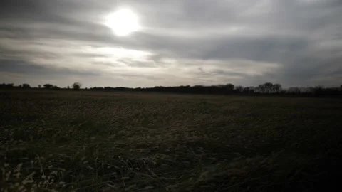 Grass blows in slow motion during sunset in a Kansas prairie field. Stock Footage 150411930