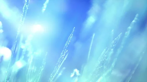 Grass. Blue light 動画素材 6529935