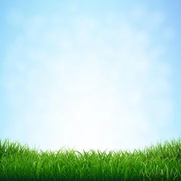 Grass With Blue Sky Stock Illustration