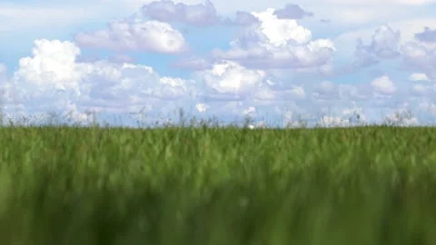 Grass blur and white cloud background Stock Footage 132491761