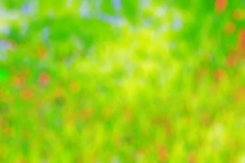 Grass with blur background. Stock-Fotos