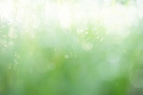 Grass Blur Green Background Spring Bokeh Garden Light Bright Easter Stock Photos