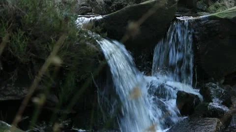 Grass blur with waterfall background 140112 Video stock 10609612