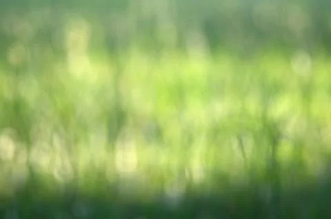 Grass bokeh background Stock Photos
