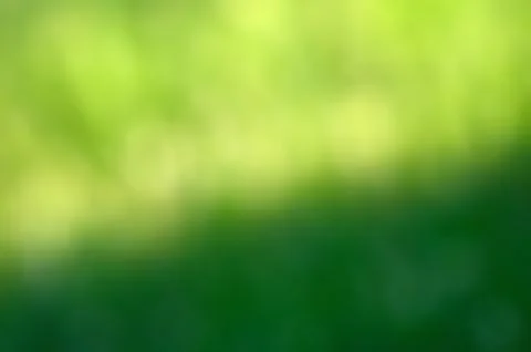 Grass bokeh background Stock Photos