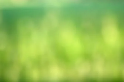 Grass bokeh background Foto stock