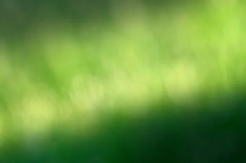 Grass bokeh background Stock Photos