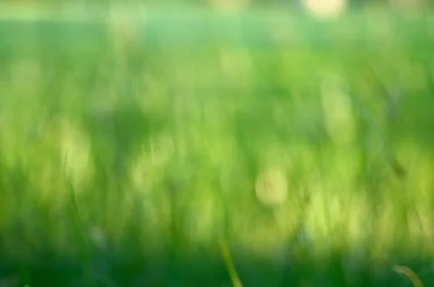 Grass bokeh background Stock Photos