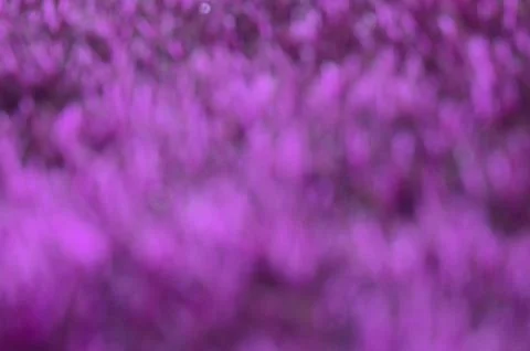 Grass bokeh background Stock Photos