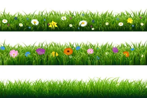 Grass Border With Flower Stock Illustration