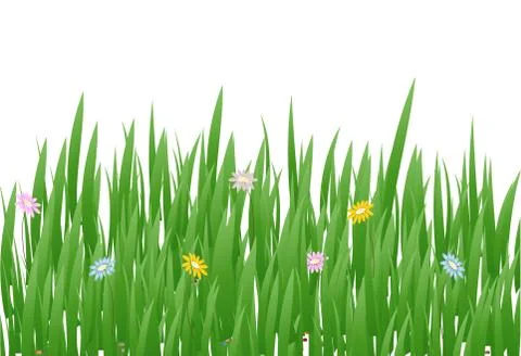 Grass Border with flowers , Vector Illustration Stock Illustration