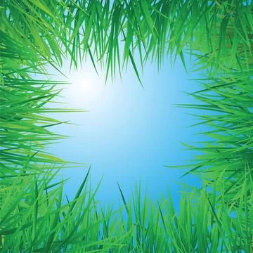 Grass border to illustrate a viewpoint from under the grass field. vector ... 写真素材