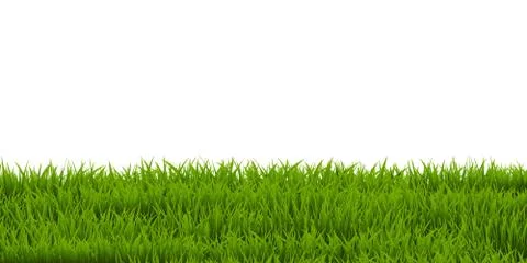 Grass Border Stock Illustration