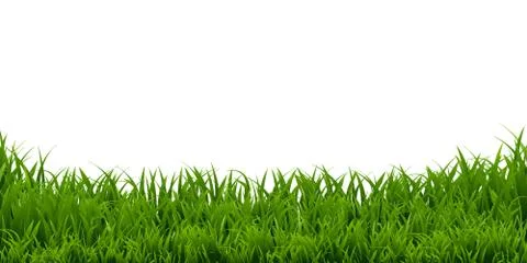Grass Border Stock Illustration