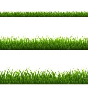 Grass Border Stock Illustration