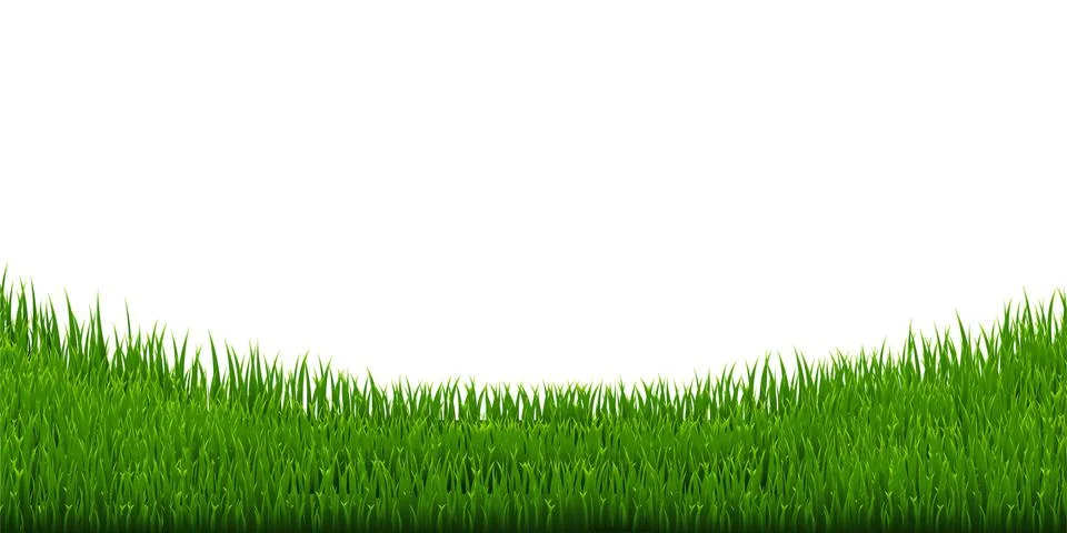 Grass Border Stock Illustration